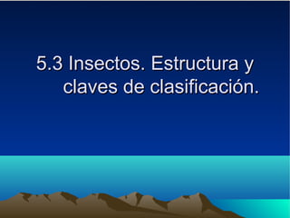 5.3 Insectos. Estructura y5.3 Insectos. Estructura y
claves de clasificación.claves de clasificación.
 