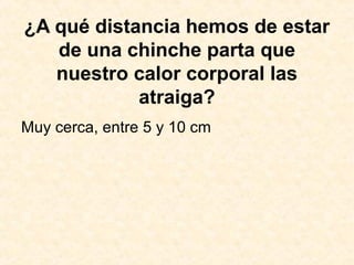¿A qué distancia hemos de estar
de una chinche parta que
nuestro calor corporal las
atraiga?
Muy cerca, entre 5 y 10 cm
 