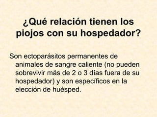 ¿Qué relación tienen los
piojos con su hospedador?
Son ectoparásitos permanentes de
animales de sangre caliente (no pueden
sobrevivir más de 2 o 3 días fuera de su
hospedador) y son específicos en la
elección de huésped.
 