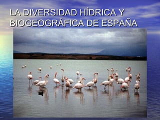 LA DIVERSIDAD HÍDRICA Y
BIOGEOGRÁFICA DE ESPAÑA
 