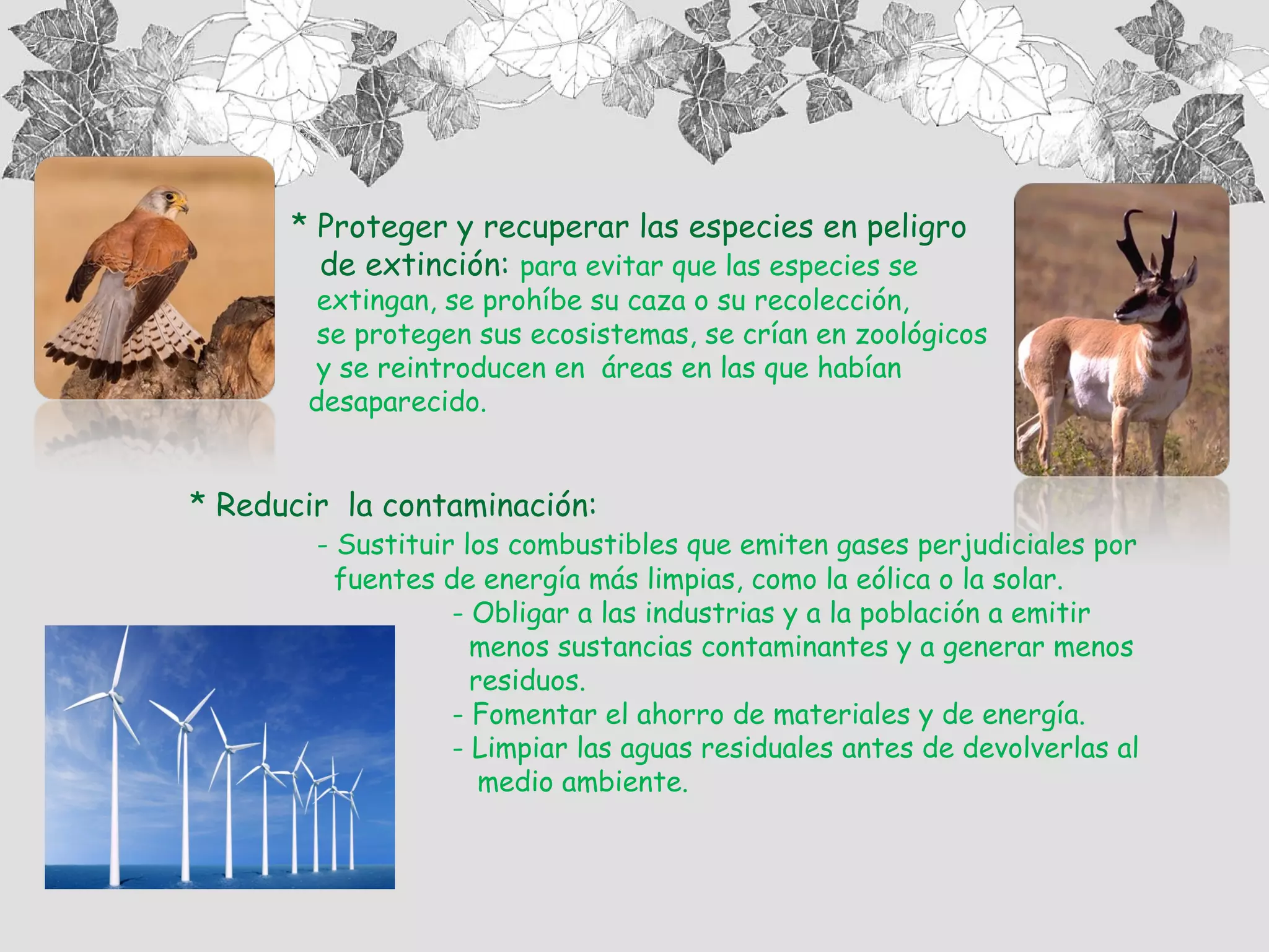 Tema 5 el ser humano en los ecosistemas | PPT | Science