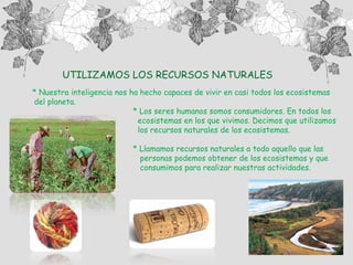 Tema 5 el ser humano en los ecosistemas | PPT