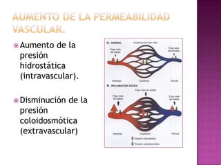  Aumento   de la
 presión
 hidrostática
 (intravascular).

 Disminución   de la
 presión
 coloidosmótica
 (extravascular)
 