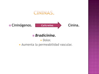  Cininógenos.         Calicreina.       Cinina.

                  Bradicinina.
                       Dolor.
         Aumenta la permeabilidad vascular.
 