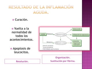    Curación.

  Vuelta a la
 normalidad de
    todos los
acontecimientos.

   Apoptosis de
     leucocitos.
                          Organización.
        Resolución.   Sustitución por fibrina.
 