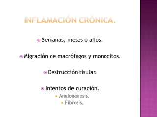  Semanas,       meses o años.

 Migración   de macrófagos y monocitos.

          Destrucción      tisular.

         Intentos     de curación.
                   Angiogénesis.
                      Fibrosis.
 