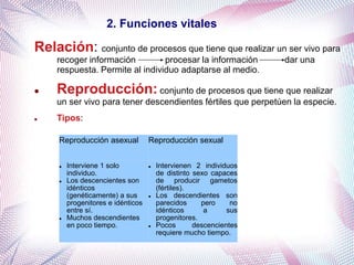 2. Funciones vitales
Relación: conjunto de procesos que tiene que realizar un ser vivo para
recoger información procesar la información dar una
respuesta. Permite al individuo adaptarse al medio.
 Reproducción: conjunto de procesos que tiene que realizar
un ser vivo para tener descendientes fértiles que perpetúen la especie.
 Tipos:
Reproducción asexual Reproducción sexual
 Interviene 1 solo
individuo.
 Los descencientes son
idénticos
(genéticamente) a sus
progenitores e idénticos
entre sí.
 Muchos descendientes
en poco tiempo.
 Intervienen 2 individuos
de distinto sexo capaces
de producir gametos
(fértiles).
 Los descendientes son
parecidos pero no
idénticos a sus
progenitores.
 Pocos descencientes
requiere mucho tiempo.
 