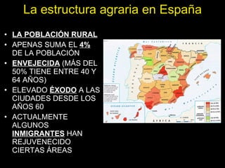 LA POBLACIÓN RURAL APENAS SUMA EL  4%  DE LA POBLACIÓN ENVEJECIDA  (MÁS DEL 50% TIENE ENTRE 40 Y 64 AÑOS) ELEVADO  ÉXODO  A LAS CIUDADES DESDE LOS AÑOS 60 ACTUALMENTE ALGUNOS  INMIGRANTES  HAN REJUVENECIDO CIERTAS ÁREAS La estructura agraria en España 