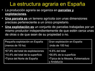 La estructura agraria en España La producción agraria se organiza en  parcelas y explotaciones . Una parcela es  un terreno agrícola con unas dimensiones precisas perteneciente a un único propietario. Una explotación es  un conjunto de parcelas trabajadas por un mismo productor independientemente de que estén cerca unas de otras o de que sean de su propiedad o no. Pequeña explotación en España (menos de 10 ha) Gran explotación en España (más de 100 ha) 67.8% del total de explotaciones 10.4% del total de la superficie Típica del Norte de España 4.6% del total 56.8% de la superficie Típica de la Meseta, Extremadura y Andalucía 