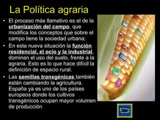 El proceso más llamativo es el de la  urbanización del campo , que modifica los conceptos que sobre el campo tiene la sociedad urbana; En esta nueva situación la  función residencial, el ocio y la industrial , dominan el uso del suelo, frente a la agraria. Esto es lo que hace difícil la definición de espacio rural.  Las  semillas transgénicas  también están cambiando la agricultura. España ya es uno de los países europeos donde los cultivos transgénicos ocupan mayor volumen de producción 