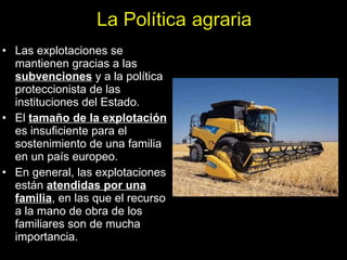 Las explotaciones se mantienen gracias a las  subvenciones  y a la política proteccionista de las instituciones del Estado.  El  tamaño de la explotación  es insuficiente para el sostenimiento de una familia en un país europeo.  En general, las explotaciones están  atendidas por una familia , en las que el recurso a la mano de obra de los familiares son de mucha importancia. 