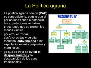 La Política agraria La política agraria común  (PAC)  es contradictoria, puesto que si por un lado tiende a potenciar las explotaciones rentables, procurando que se cierren las menos viables,  por otro, en zonas desfavorecidas y de alta montaña,  subvenciona  a las explotaciones más pequeñas y marginales;  ya que se trata de  evitar el despoblamiento  y la desaparición de los usos tradicionales.  
