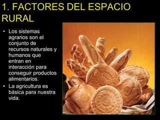 Los sistemas agrarios son el conjunto de recursos naturales y humanos que entran en interacción para conseguir productos alimentarios. La agricultura es básica para nuestra vida. 