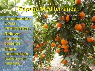 España Mediterránea Localización:  Costa mediterránea. Relieve:  Llanuras costeras. Clima:  mediterráneo (cálido y sin heladas). 