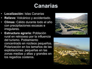 Canarias Localización:  Islas Canarias Relieve:  Volcánico y accidentado. Climas:  Cálido durante todo el año con precipitaciones escasas e irregulares. Estructura agraria:  Población rural en retroceso por la influencia del turismo. Poblamiento concentrado en núcleos pequeños. Polarización en los tamaños de las explotaciones: pequeñas en las zonas medias y altas y grandes en los regadíos costeros. 
