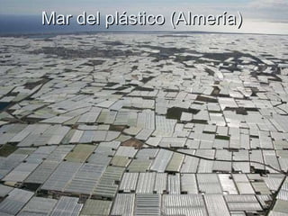 Mar del plástico (Almería) 