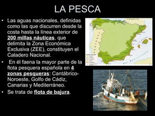 LA PESCA Las aguas nacionales, definidas como las que discurren desde la costa hasta la línea exterior de  200 millas náuticas , que delimita la Zona Económica Exclusiva (ZEE), constituyen el Caladero Nacional. En él faena la mayor parte de la flota pesquera española en  4 zonas pesqueras : Cantábrico-Noroeste, Golfo de Cádiz, Canarias y Mediterráneo.  Se trata de  flota de bajura . 