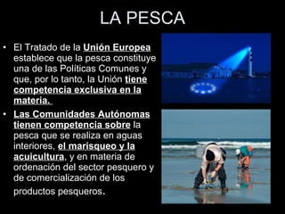 LA PESCA El Tratado de la  Unión Europea  establece que la pesca constituye una de las Políticas Comunes y que, por lo tanto, la Unión  tiene competencia exclusiva en la materia.  Las Comunidades Autónomas tienen competencia sobre  la pesca que se realiza en aguas interiores,  el marisqueo y la acuicultura , y en materia de ordenación del sector pesquero y de comercialización de los productos pesqueros . 
