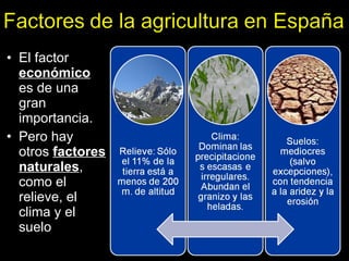 El factor  económico  es de una gran importancia. Pero hay otros  factores naturales , como el relieve, el clima y el suelo 