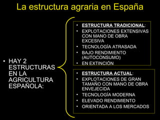 HAY 2 ESTRUCTURAS EN LA AGRICULTURA ESPAÑOLA: La estructura agraria en España ESTRUCTURA TRADICIONAL : EXPLOTACIONES EXTENSIVAS CON MANO DE OBRA EXCESIVA TECNOLOGÍA ATRASADA BAJO RENDIMIENTO (AUTOCONSUMO) EN EXTINCIÓN ESTRUCTURA ACTUAL : EXPLOTACIONES DE GRAN TAMAÑO CON MANO DE OBRA ENVEJECIDA TECNOLOGÍA MODERNA ELEVADO RENDIMIENTO ORIENTADA A LOS MERCADOS 