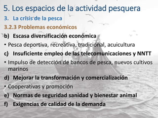 5. Los espacios de la actividad pesquera
3. La crisis de la pesca
3.2.3 Problemas económicos
b) Escasa diversificación económica
• Pesca deportiva, recreativa, tradicional, acuicultura
c) Insuficiente empleo de las telecomunicaciones y NNTT
• Impulso de detección de bancos de pesca, nuevos cultivos
marinos
d) Mejorar la transformación y comercialización
• Cooperativas y promoción
e) Normas de seguridad sanidad y bienestar animal
f) Exigencias de calidad de la demanda
 