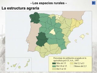 - Los espacios rurales -
La estructura agraria
 