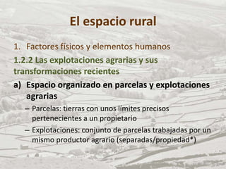 El espacio rural
1. Factores físicos y elementos humanos
1.2.2 Las explotaciones agrarias y sus
transformaciones recientes
a) Espacio organizado en parcelas y explotaciones
agrarias
– Parcelas: tierras con unos límites precisos
pertenecientes a un propietario
– Explotaciones: conjunto de parcelas trabajadas por un
mismo productor agrario (separadas/propiedad*)
 