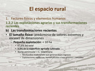 El espacio rural
1. Factores físicos y elementos humanos
1.2.2 Las explotaciones agrarias y sus transformaciones
recientes
b) Las transformaciones recientes
• El tamaño físico: predominio de valores extremos y
escasez de dimensiones
– Pequeña explotación: < 10 ha
• 67,6% del total
• 9,9% de la superficie agrícola cultivada
• Norte peninsular + C. Valenciana
– Minifundios tradicionales que generan bajos ingresos
– Explotaciones modernas, hortofrutícolas o bajo plástico + rentables
 