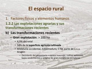 El espacio rural
1. Factores físicos y elementos humanos
1.2.2 Las explotaciones agrarias y sus
transformaciones recientes
b) Las transformaciones recientes
– Gran explotación: > 100 ha
• 4,9% del total
• 58% de la superficie agrícola cultivada
• Andalucía occidental, Extremadura, C-M, parte de C-L y
Aragón
– Desinterés del propietario = escasa inversión, cultivo extensivo,
bajos rendimientos y empleo de gran número de jornaleros
 