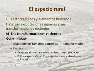 El espacio rural
1. Factores físicos y elementos humanos
1.2.2 Las explotaciones agrarias y sus
transformaciones recientes
b) Las transformaciones recientes
Actualidad:
– Mantiene los tamaños extremos (↑ tamaño medio)
– Causas:
• Éxodo rural = venta o arrendamiento de propiedades
• Política agraria de la UE = prejubilaciones y abandonos
voluntarios
 