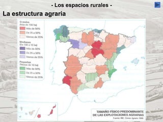 - Los espacios rurales -
La estructura agraria
 