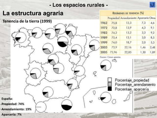 - Los espacios rurales -
La estructura agraria
Tenencia de la tierra (1999)
España:
Propiedad: 74%
Arrendamiento: 19%
Aparcería: 7%
 