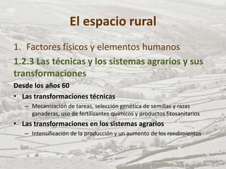 El espacio rural
1. Factores físicos y elementos humanos
1.2.3 Las técnicas y los sistemas agrarios y sus
transformaciones
Desde los años 60
• Las transformaciones técnicas
– Mecanización de tareas, selección genética de semillas y razas
ganaderas, uso de fertilizantes químicos y productos fitosanitarios
• Las transformaciones en los sistemas agrarios
– Intensificación de la producción y un aumento de los rendimientos
 