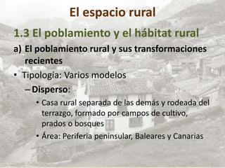 El espacio rural
1.3 El poblamiento y el hábitat rural
a) El poblamiento rural y sus transformaciones
recientes
• Tipología: Varios modelos
–Disperso:
• Casa rural separada de las demás y rodeada del
terrazgo, formado por campos de cultivo,
prados o bosques
• Área: Periferia peninsular, Baleares y Canarias
 