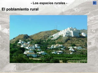 - Los espacios rurales -
El poblamiento rural
 