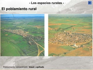 Poblamiento concentrado: lineal y apiñado
- Los espacios rurales -
El poblamiento rural
 