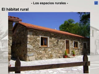Caserío vasco de piedra en Irún
- Los espacios rurales -
El hábitat rural
 
