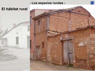 - Los espacios rurales -
El hábitat rural
 
