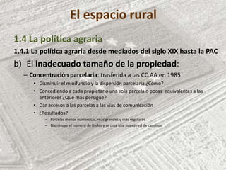 El espacio rural
1.4 La política agraria
1.4.1 La política agraria desde mediados del siglo XIX hasta la PAC
b) El inadecuado tamaño de la propiedad:
– Concentración parcelaria: trasferida a las CC.AA en 1985
• Disminuir el minifundio y la dispersión parcelaria ¿Cómo?
• Concediendo a cada propietario una sola parcela o pocas equivalentes a las
anteriores ¿Qué más persigue?
• Dar accesos a las parcelas a las vías de comunicación
• ¿Resultados?
– Parcelas menos numerosas, más grandes y más regulares
– Disminuye el número de lindes y se crea una nueva red de caminos
 