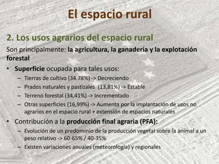 El espacio rural
2. Los usos agrarios del espacio rural
Son principalmente: la agricultura, la ganadería y la explotación
forestal
• Superficie ocupada para tales usos:
– Tierras de cultivo (34.78%) -> Decreciendo
– Prados naturales y pastizales (13,81%) -> Estable
– Terreno forestal (34,41%) -> Incrementado
– Otras superficies (16,99%) -> Aumenta por la implantación de usos no
agrarios en el espacio rural + extensión de espacios naturales
• Contribución a la producción final agraria (PFA):
– Evolución de un predominio de la producción vegetal sobre la animal a un
peso relativo -> 60-65% / 40-35%
– Existen variaciones anuales (meteorología) y regionales
 