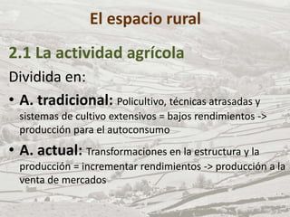 El espacio rural
2.1 La actividad agrícola
Dividida en:
• A. tradicional: Policultivo, técnicas atrasadas y
sistemas de cultivo extensivos = bajos rendimientos ->
producción para el autoconsumo
• A. actual: Transformaciones en la estructura y la
producción = incrementar rendimientos -> producción a la
venta de mercados
 