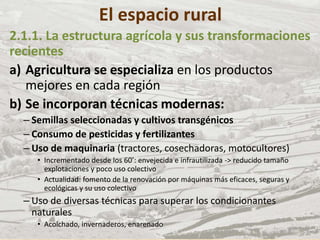 El espacio rural
2.1.1. La estructura agrícola y sus transformaciones
recientes
a) Agricultura se especializa en los productos
mejores en cada región
b) Se incorporan técnicas modernas:
– Semillas seleccionadas y cultivos transgénicos
– Consumo de pesticidas y fertilizantes
– Uso de maquinaria (tractores, cosechadoras, motocultores)
• Incrementado desde los 60’: envejecida e infrautilizada -> reducido tamaño
explotaciones y poco uso colectivo
• Actualidad: fomento de la renovación por máquinas más eficaces, seguras y
ecológicas y su uso colectivo
– Uso de diversas técnicas para superar los condicionantes
naturales
• Acolchado, invernaderos, enarenado
 