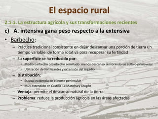El espacio rural
2.1.1. La estructura agrícola y sus transformaciones recientes
c) A. intensiva gana peso respecto a la extensiva
• Barbecho:
– Práctica tradicional consistente en dejar descansar una porción de tierra un
tiempo variable de forma rotativa para recuperar su fertilidad
– Su superficie se ha reducido por:
• Medio barbecho o barbecho semillado: menos descanso sembrando un cultivo primaveral
• Utilización de fertilizantes y extensión del regadío
– Distribución:
• Escasa incidencia en el norte peninsular
• Muy extendido en Castilla-La Mancha y Aragón
– Ventaja: permite el descanso natural de la tierra
– Problema: reduce la producción agrícola en las áreas afectadas
 