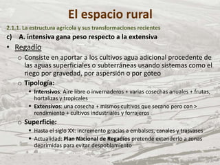 El espacio rural
2.1.1. La estructura agrícola y sus transformaciones recientes
c) A. intensiva gana peso respecto a la extensiva
• Regadío
o Consiste en aportar a los cultivos agua adicional procedente de
las aguas superficiales o subterráneas usando sistemas como el
riego por gravedad, por aspersión o por goteo
o Tipología:
 Intensivos: Aire libre o invernaderos + varias cosechas anuales + frutas,
hortalizas y tropicales
 Extensivos: una cosecha + mismos cultivos que secano pero con >
rendimiento + cultivos industriales y forrajeros
o Superficie:
 Hasta el siglo XX: incremento gracias a embalses, canales y trasvases
 Actualidad: Plan Nacional de Regadíos pretende extenderlo a zonas
deprimidas para evitar despoblamiento
 