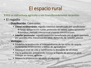 El espacio rural
2.1.1 La estructura agrícola y sus transformaciones recientes
• El regadío
oDistribución: Contrastes
 Litoral mediterráneo: regadío intensivo beneficiado por condiciones
Físicas: temperaturas suaves, protección del relieve, suelos apropiados
Humanas: mercado internacional y buenas comunicaciones
 Interior peninsular: regadío extensivo beneficiado por el agua aportada
por grandes ríos, mecanización total, demanda de cereales-pienso
oVentajas:
 Estabiliza la producción al independizarse de los ciclos de sequía,
incrementa rendimientos y rentas de agricultores
 Mejora el nivel de vida e incrementa la demanda de servicios
 Fija la población, provocando incluso la llegada de personas para
trabajar en tareas agrarias
 Mejora la preparación técnica y profesional
 
