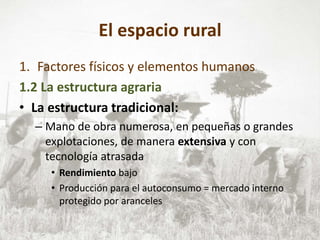 El espacio rural
1. Factores físicos y elementos humanos
1.2 La estructura agraria
• La estructura tradicional:
– Mano de obra numerosa, en pequeñas o grandes
explotaciones, de manera extensiva y con
tecnología atrasada
• Rendimiento bajo
• Producción para el autoconsumo = mercado interno
protegido por aranceles
 