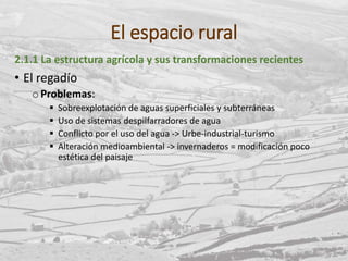 El espacio rural
2.1.1 La estructura agrícola y sus transformaciones recientes
• El regadío
oProblemas:
 Sobreexplotación de aguas superficiales y subterráneas
 Uso de sistemas despilfarradores de agua
 Conflicto por el uso del agua -> Urbe-industrial-turismo
 Alteración medioambiental -> invernaderos = modificación poco
estética del paisaje
 