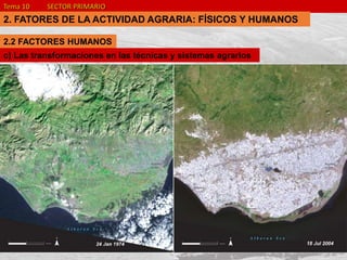 Tema 10 SECTOR PRIMARIO
2. FATORES DE LA ACTIVIDAD AGRARIA: FÍSICOS Y HUMANOS
2.2 FACTORES HUMANOS
c) Las transformaciones en las técnicas y sistemas agrarios
 