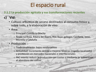El espacio rural
2.1.2 La producción agrícola y sus transformaciones recientes
c) Vid:
• Cultivos arbustivo de secano destinados al consumo fresco y,
sobre todo, a la elaboración de vino
• Área:
o Principal: Castilla La Macha
o Resto: La Rioja, Ribera del Duero, Rías Bajas gallegas, Cariñena, Jerez,
Montilla y Cataluña
• Producción
o Tradicionalmente: bajos rendimientos
o Actualidad: Incremento debido a mejoras técnicas (regadío localizado)
y promoción en mercados nacionales e internacionales
o PAC intenta reducir la producción con cuotas o mediante la subvención
al abandono del cultivo
 