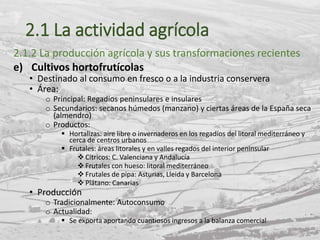 2.1 La actividad agrícola
2.1.2 La producción agrícola y sus transformaciones recientes
e) Cultivos hortofrutícolas
• Destinado al consumo en fresco o a la industria conservera
• Área:
o Principal: Regadíos peninsulares e insulares
o Secundarios: secanos húmedos (manzano) y ciertas áreas de la España seca
(almendro)
o Productos:
 Hortalizas: aire libre o invernaderos en los regadíos del litoral mediterráneo y
cerca de centros urbanos
 Frutales: áreas litorales y en valles regados del interior peninsular
 Cítricos: C. Valenciana y Andalucía
 Frutales con hueso: litoral mediterráneo
 Frutales de pipa: Asturias, Lleida y Barcelona
 Plátano: Canarias
• Producción
o Tradicionalmente: Autoconsumo
o Actualidad:
 Se exporta aportando cuantiosos ingresos a la balanza comercial
 
